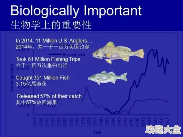 钓鱼佬揭秘：海洋主殿净化升级关键步骤与最新爆料注意事项汇总