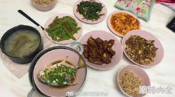 重生八零佳妻致富忙直播带货预制菜开启美食新时代