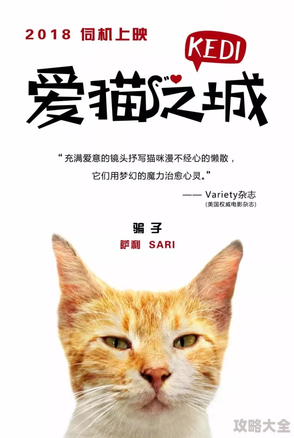 《萌猫变变变礼包码大全：最新通用兑换码合集》是一本深受玩家喜爱的游戏资源集合。它汇集了大量的兑换码，为玩家们提供了丰富的游戏道具和资源，让玩家在游戏中能够更加轻松愉快地体验游戏乐趣。本文将详细介绍这份礼包码大全，并解答一些玩家可能关心的问题。